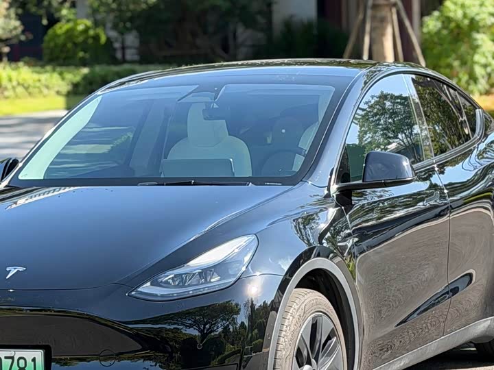 Фото 3 - Tesla Model Y