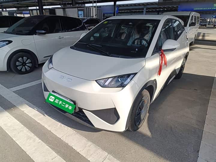 Фото 2 - BYD Seagull