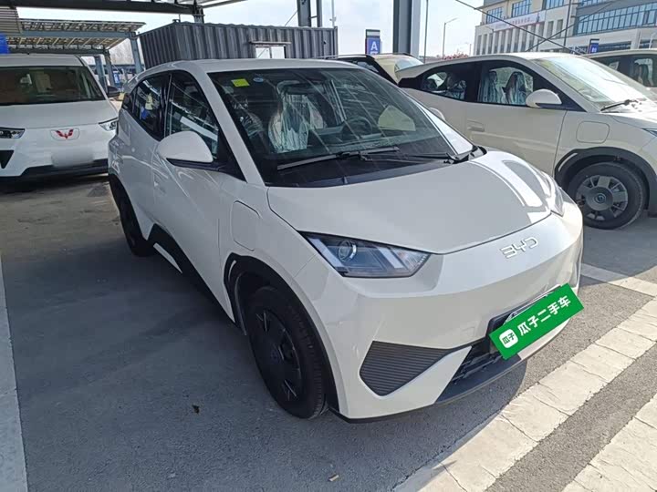 Фото 4 - BYD Seagull