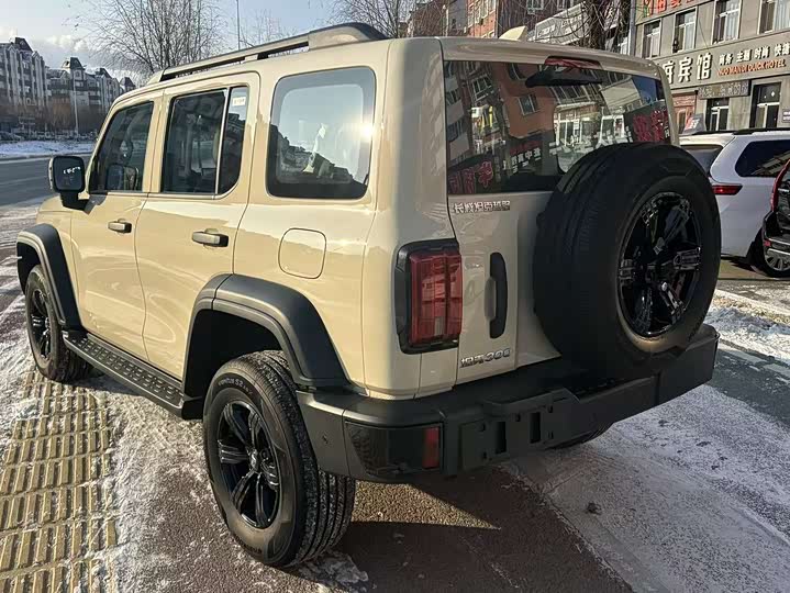 Фото 4 - Tank 300