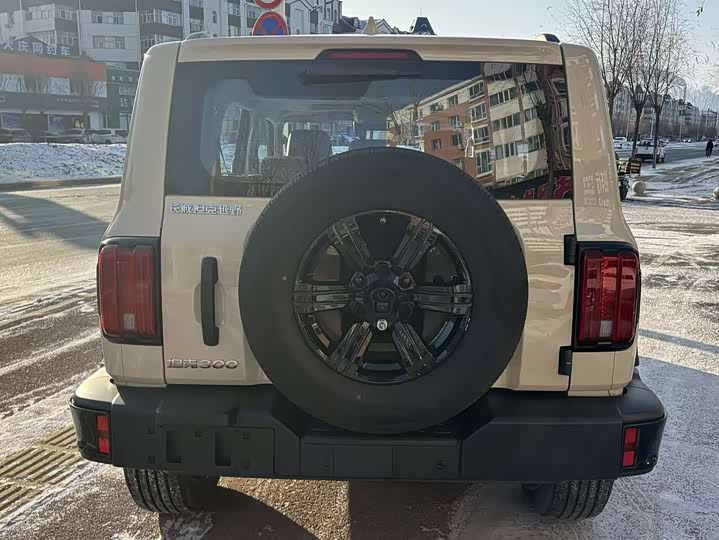 Фото 5 - Tank 300