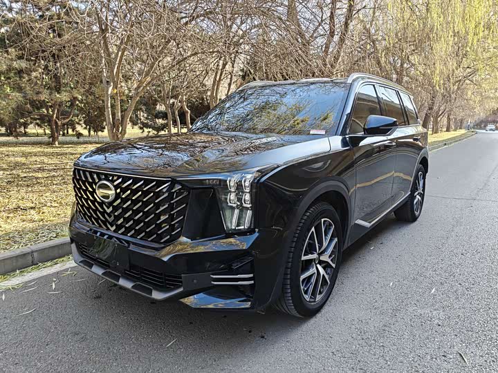 Фото 1 - GAC Trumpchi GS8