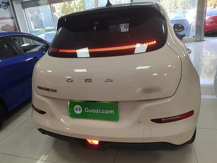 Фото 6 - Ora Good Cat (03)