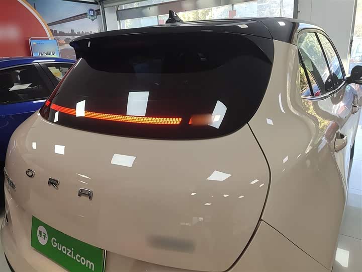 Фото 8 - Ora Good Cat (03)