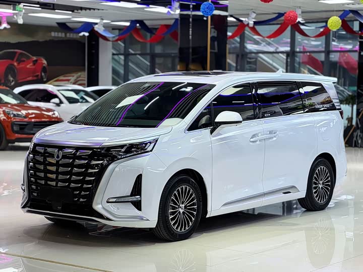 Фото 1 - Denza D9