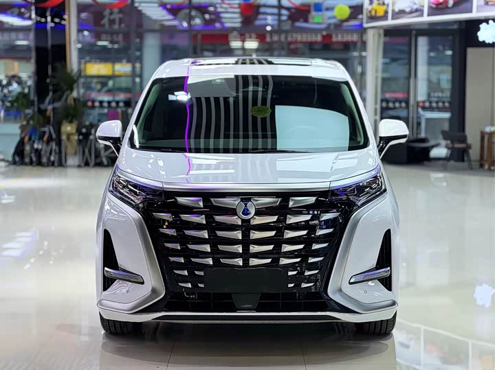 Фото 2 - Denza D9