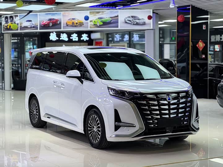 Фото 3 - Denza D9