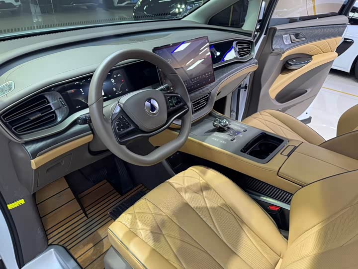 Фото 4 - Denza D9