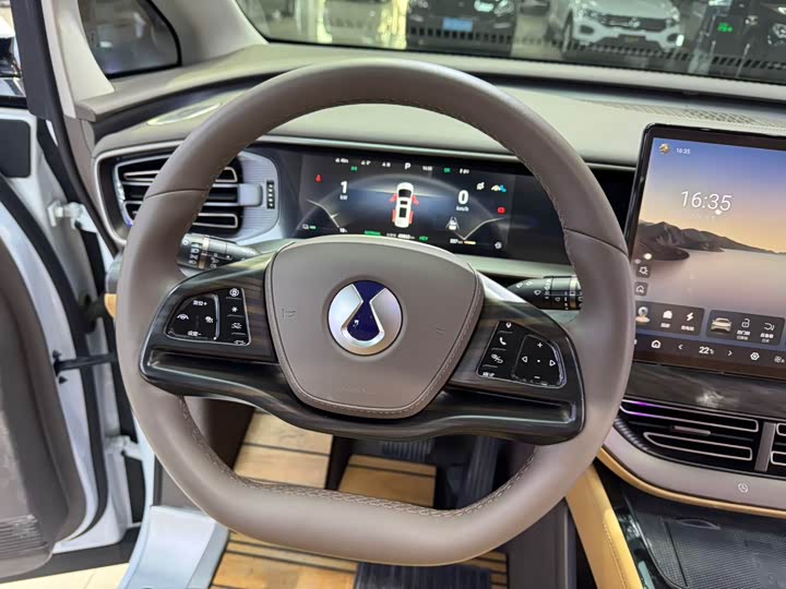 Фото 8 - Denza D9