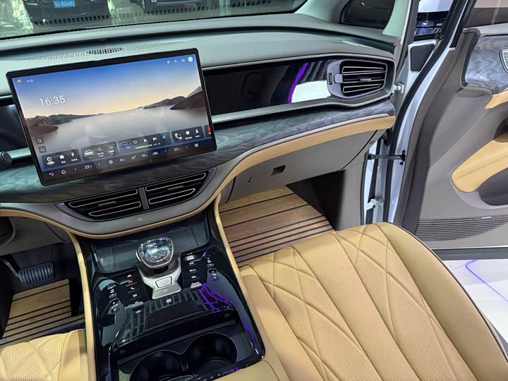 Фото 9 - Denza D9