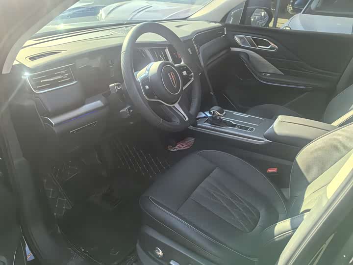 Фото 4 - Hongqi HS7 Hybrid