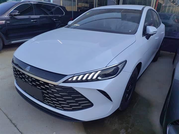 Фото 2 - BYD Qin Plus