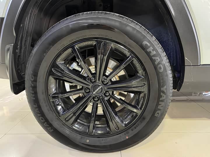 Фото 9 - Haval Raptor Hybrid