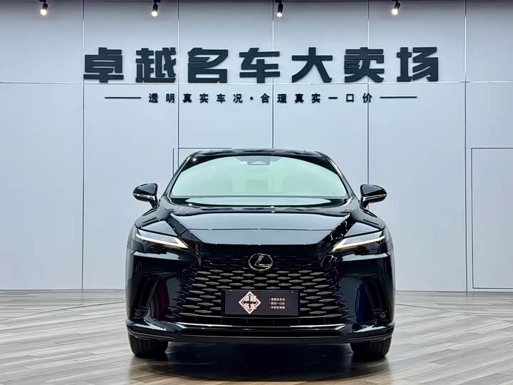 Фото 8 - Lexus RX