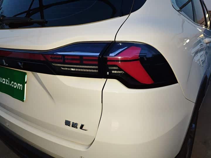 Фото 8 - Geely Okavango L