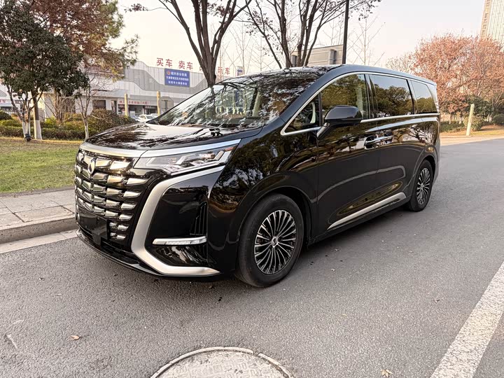 Фото 1 - Denza D9