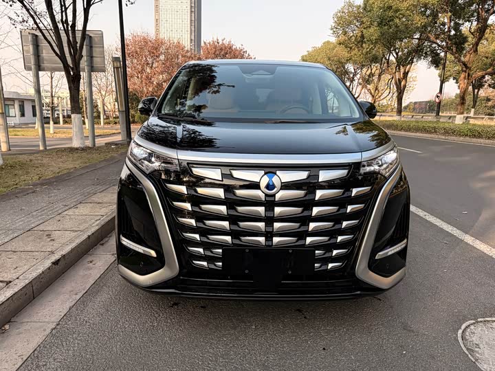 Фото 2 - Denza D9