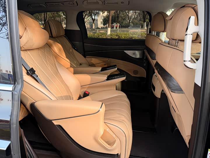 Фото 6 - Denza D9