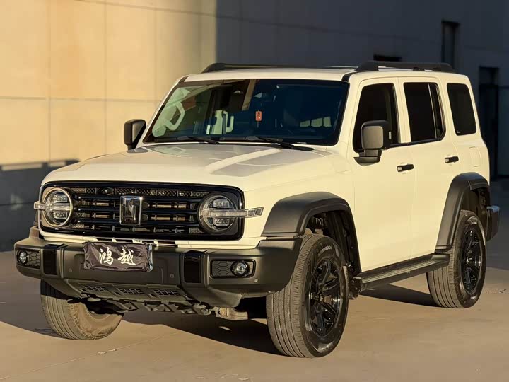 Фото 1 - Tank 300