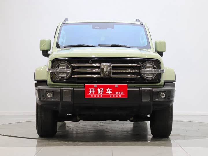 Фото 2 - Tank 300