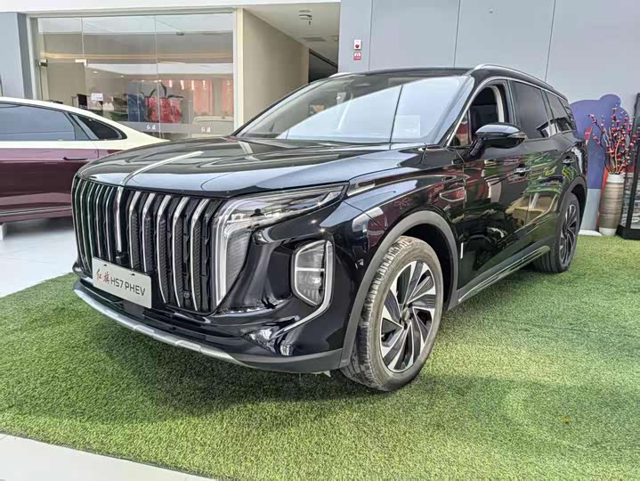 Фото 1 - Hongqi HS7