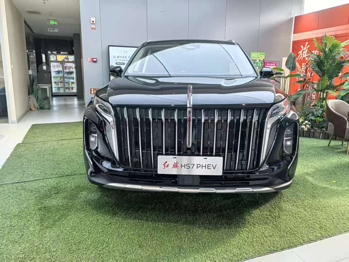 Фото 2 - Hongqi HS7