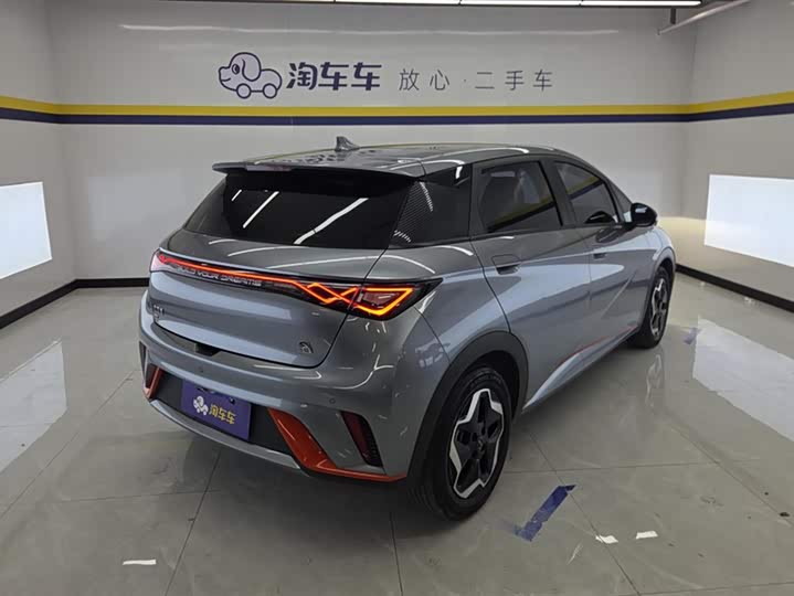 Фото 3 - BYD Dolphin