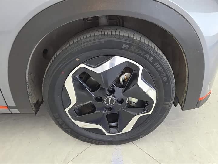 Фото 6 - BYD Dolphin