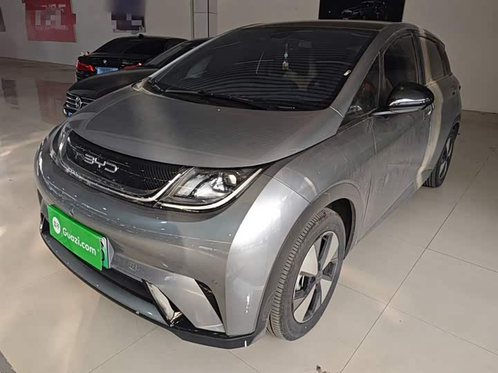 Фото 2 - BYD Dolphin