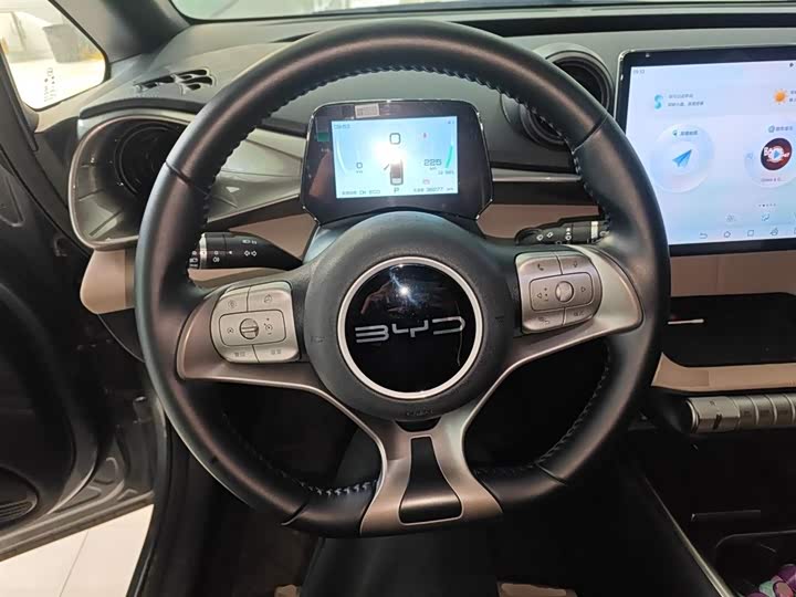 Фото 3 - BYD Dolphin