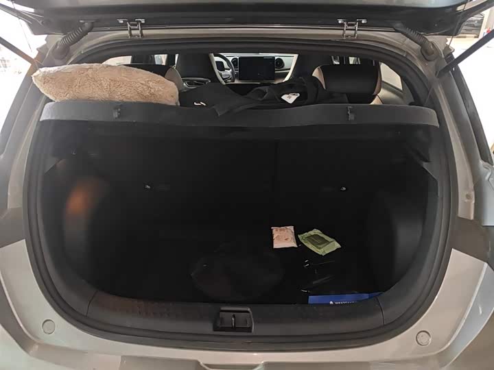 Фото 9 - BYD Dolphin