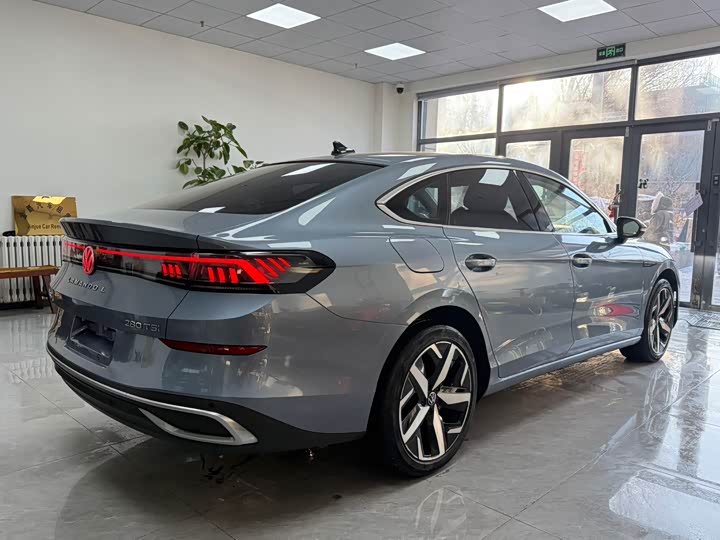 Фото 8 - Volkswagen Lamando L