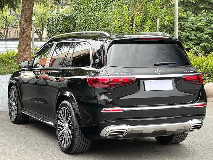 Фото 9 - Mercedes-Benz Maybach GLS