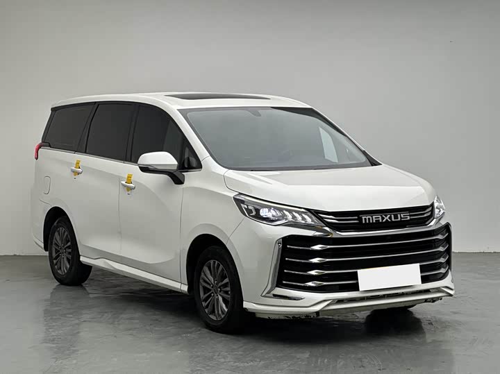 Фото 3 - Maxus G50