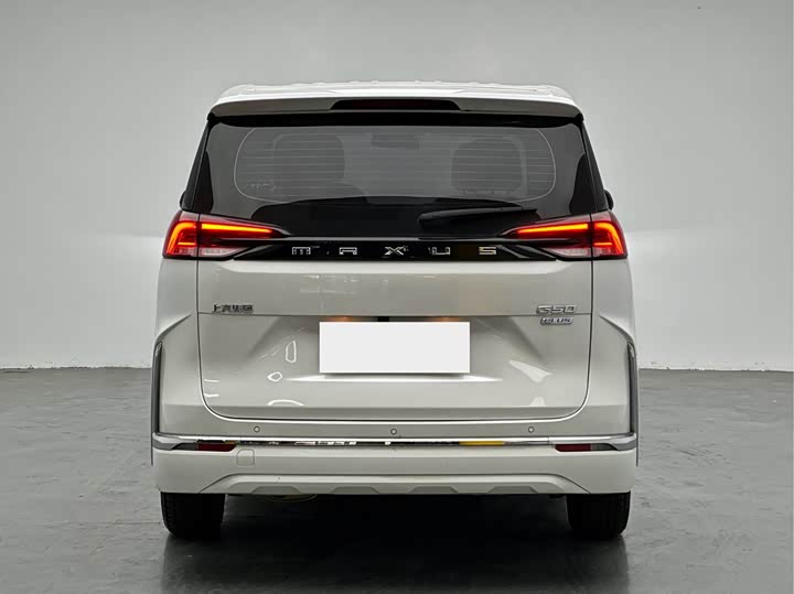 Фото 5 - Maxus G50