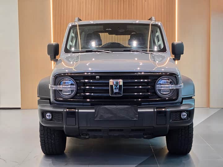 Фото 2 - Tank 300