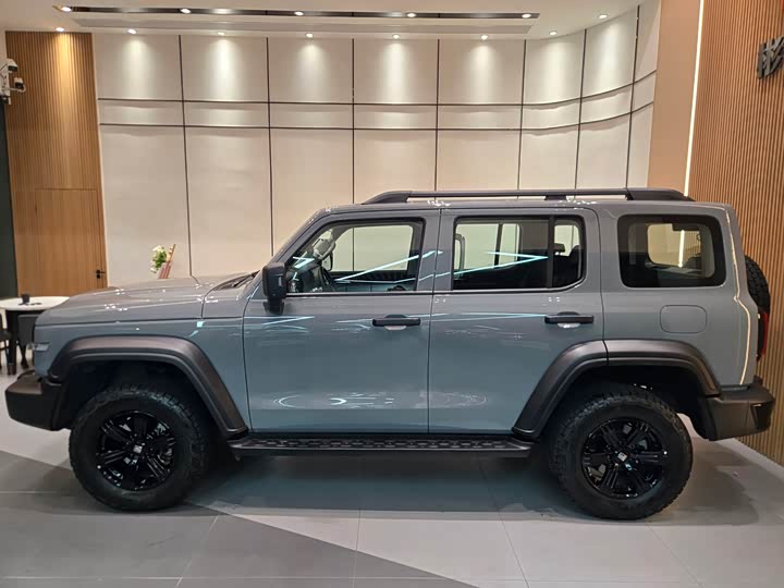 Фото 4 - Tank 300