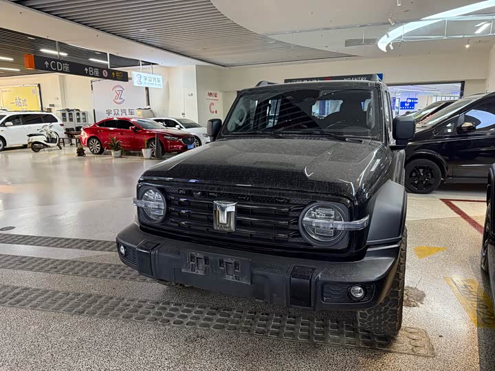 Фото 1 - Tank 300