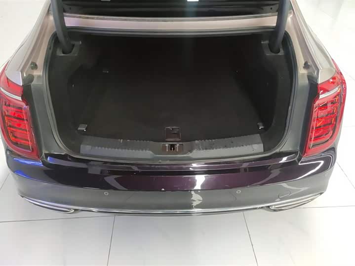 Фото 4 - Hongqi H9