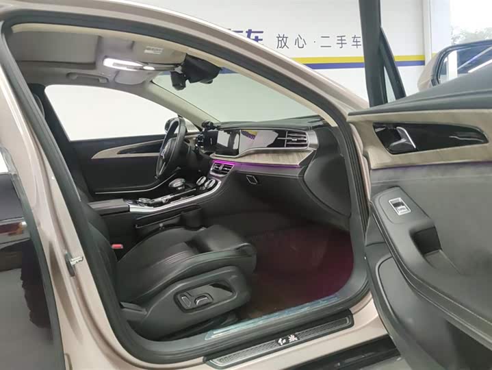 Фото 8 - Hongqi H9