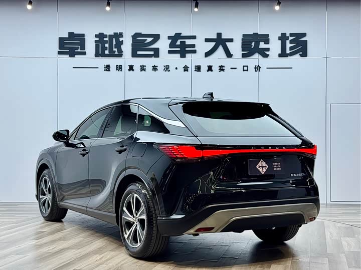 Фото 5 - Lexus RX