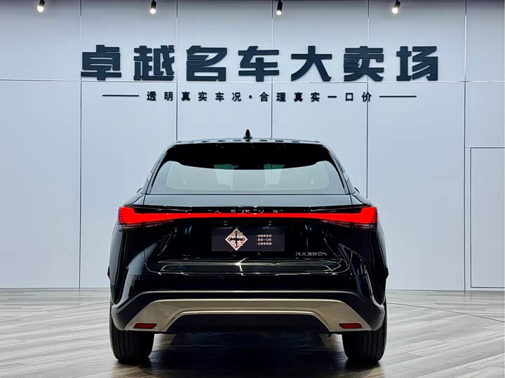 Фото 6 - Lexus RX