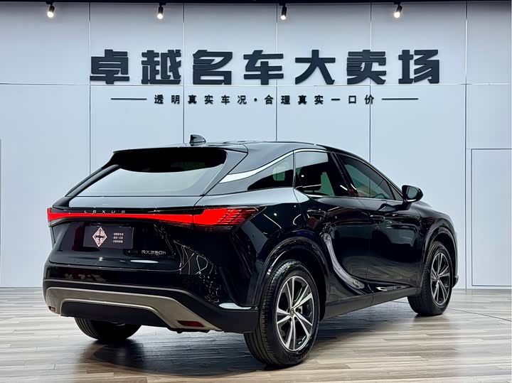 Фото 7 - Lexus RX