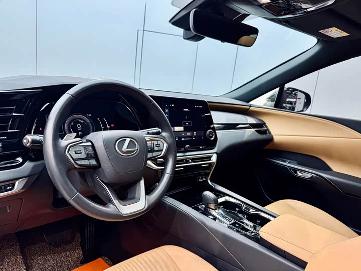 Фото 8 - Lexus RX