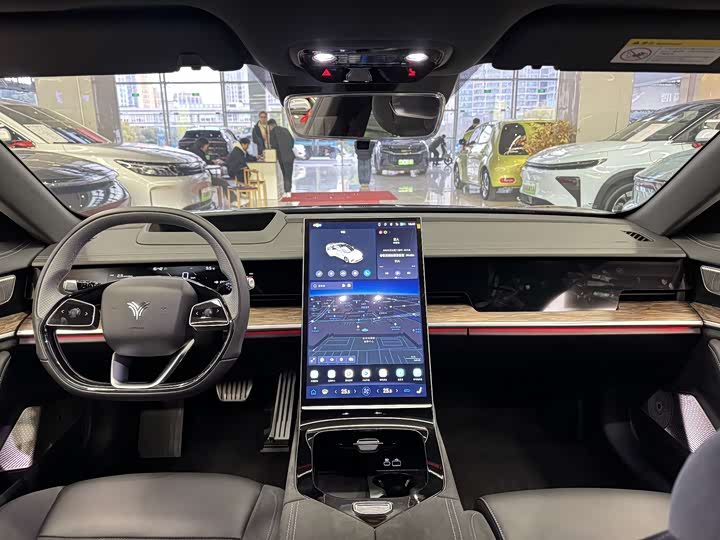 Фото 8 - Hozon S