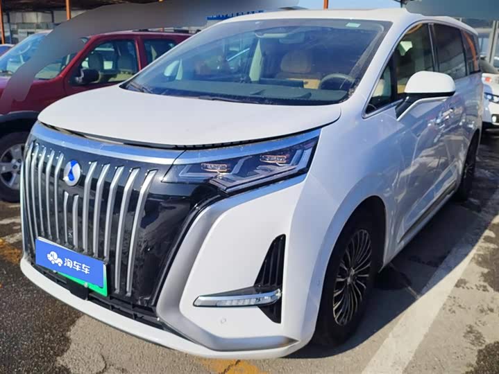 Фото 1 - Denza D9