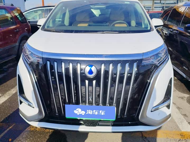 Фото 2 - Denza D9