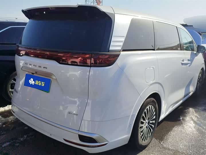 Фото 3 - Denza D9