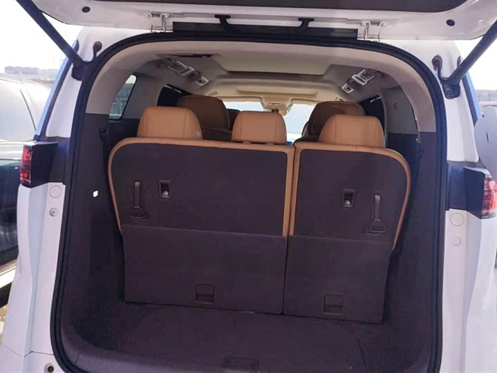 Фото 4 - Denza D9