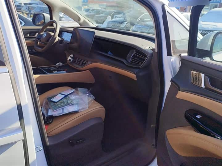 Фото 8 - Denza D9